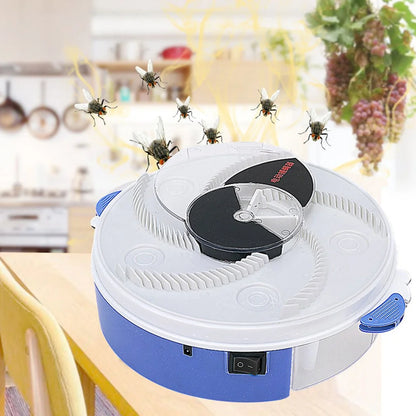 Baby Safe Electric Flycatcher